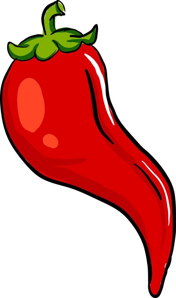 Red hot pepper, illustration, vector on white background.