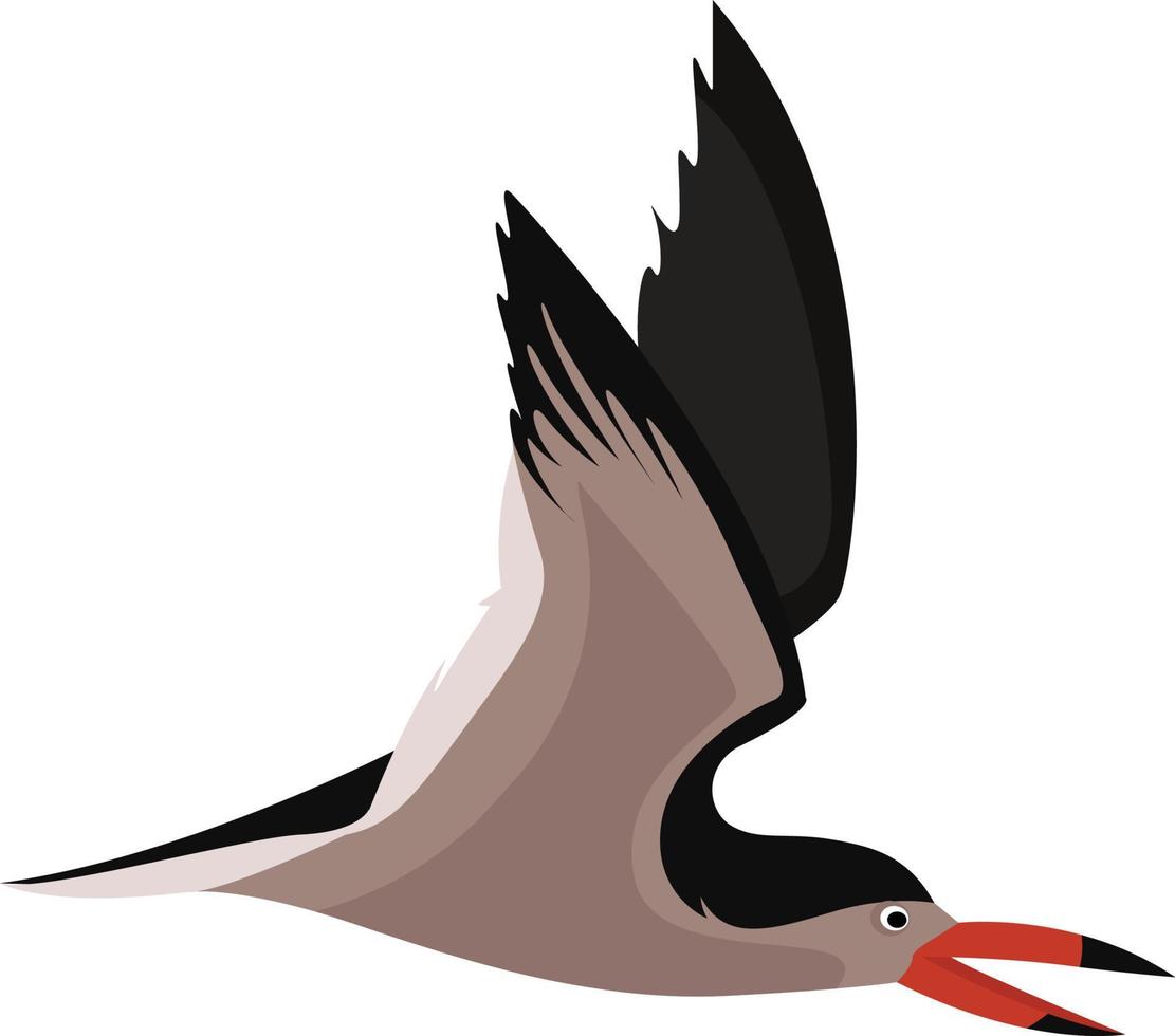 pájaro volador, ilustración, vector sobre fondo blanco.