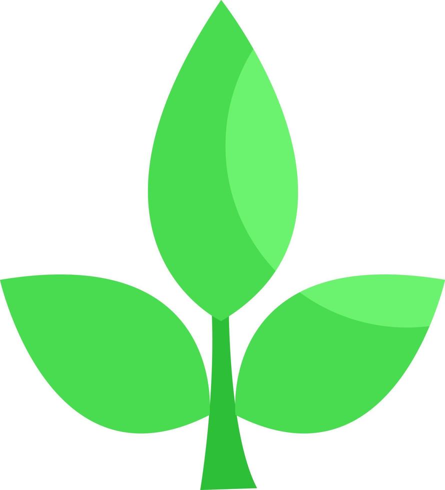Green plant, illustration, vector on a white background.