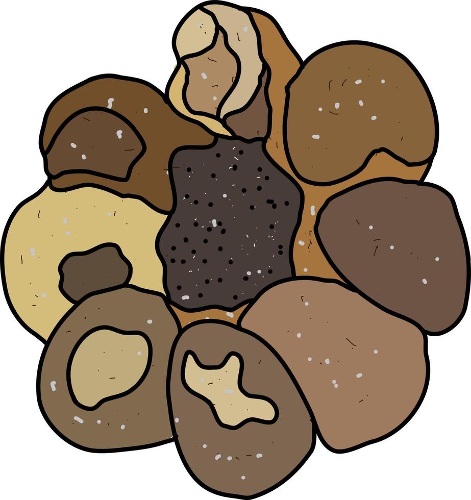 Cookies, illustration, vector on white background.