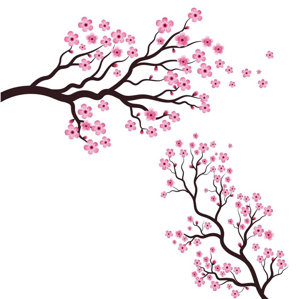 icono de vector de flor de belleza de sakura