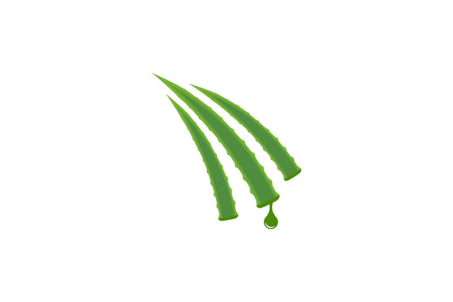 Aloe vera vector illustration design