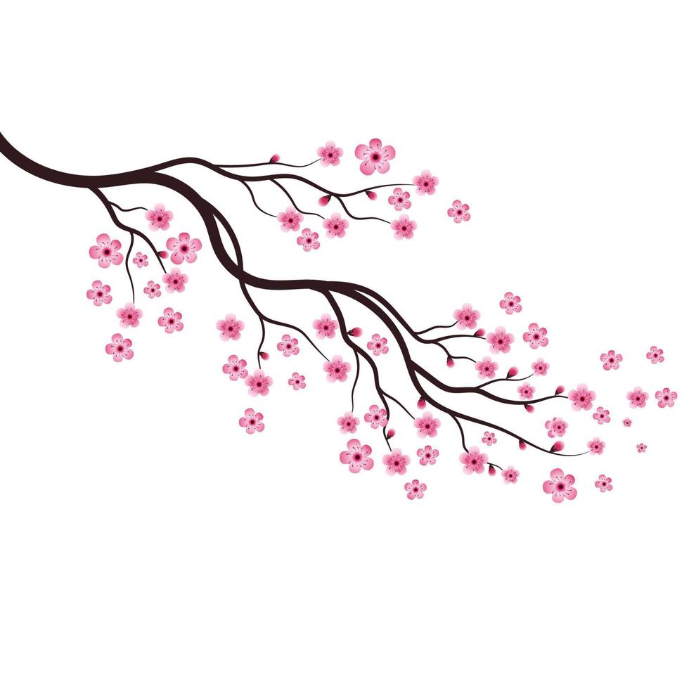 Sakura Beauty flower Vector icon