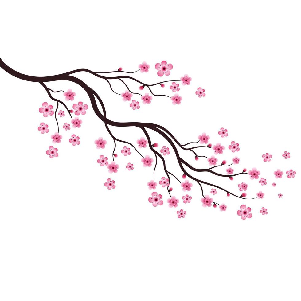 icono de vector de flor de belleza de sakura