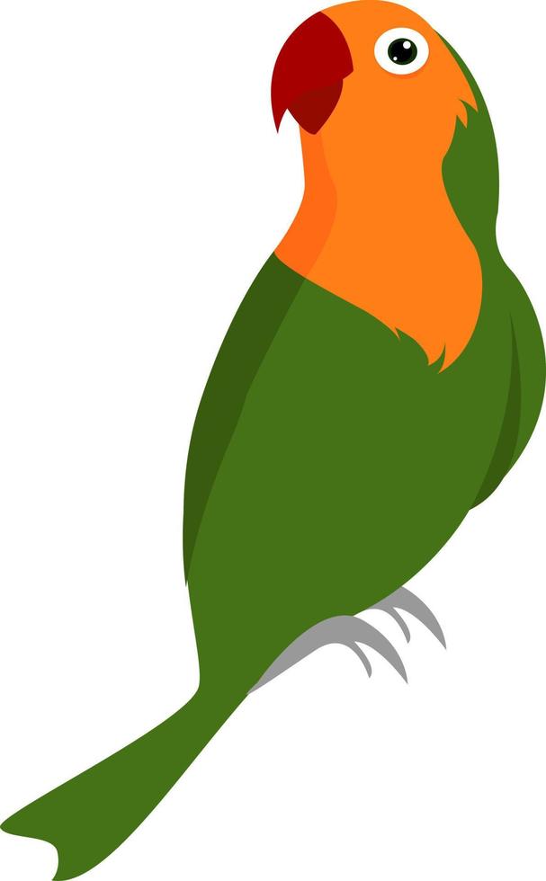 Green parrot, illustration, vector on white background.