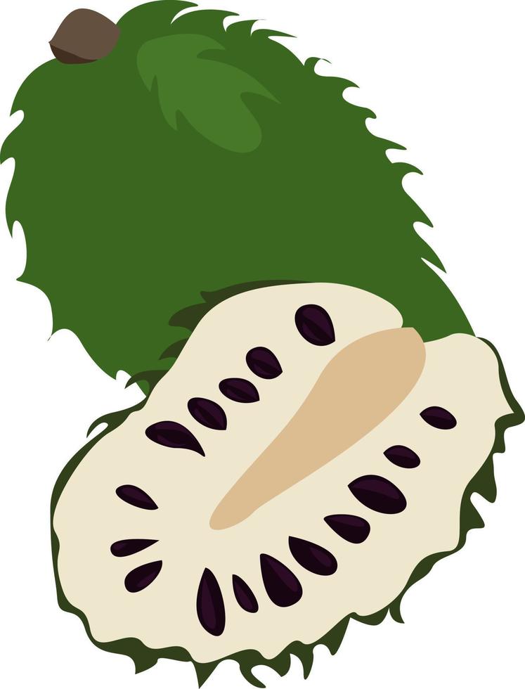 Guanábana verde, ilustración, vector sobre fondo blanco.
