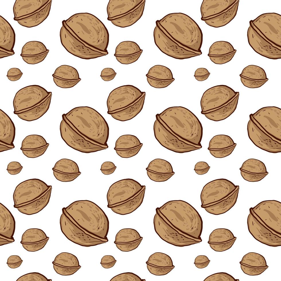 Walnut pattern, illustration, vector on white background.