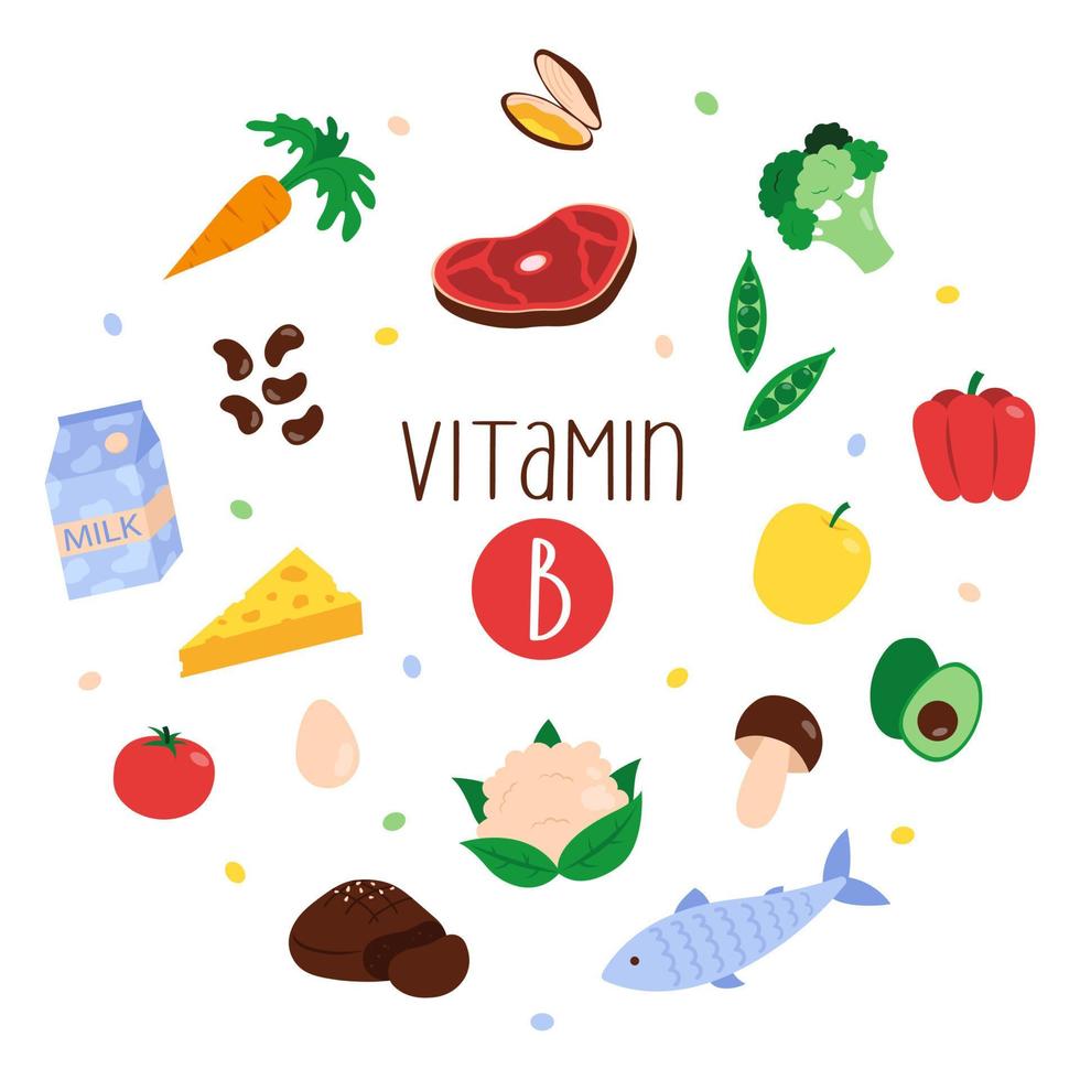 Collection of vitamin B sources. Dietetic products, organic natural nutrition. Flat vector illustration.