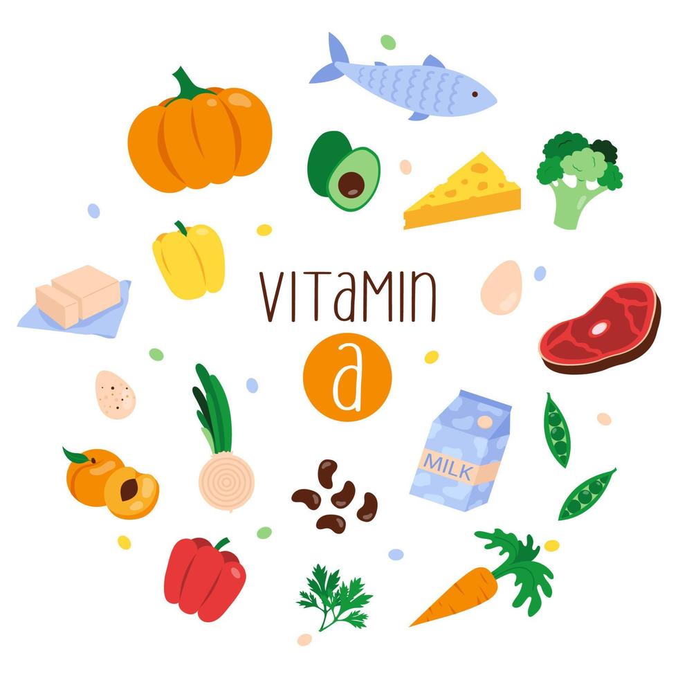 Collection of vitamin A sources. Healthy food containing carotene. Flat vector illustration.