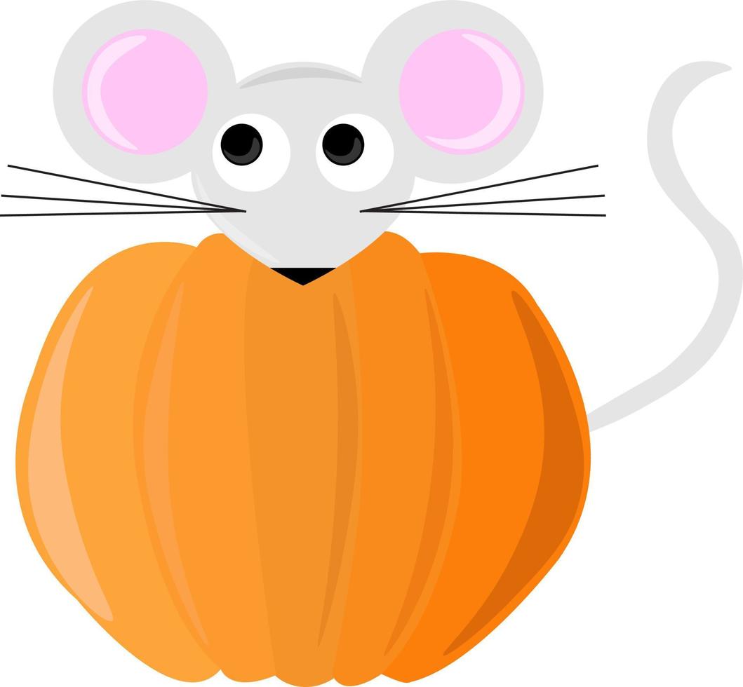 Pumpkin and mouse, illustration, vector on white background.