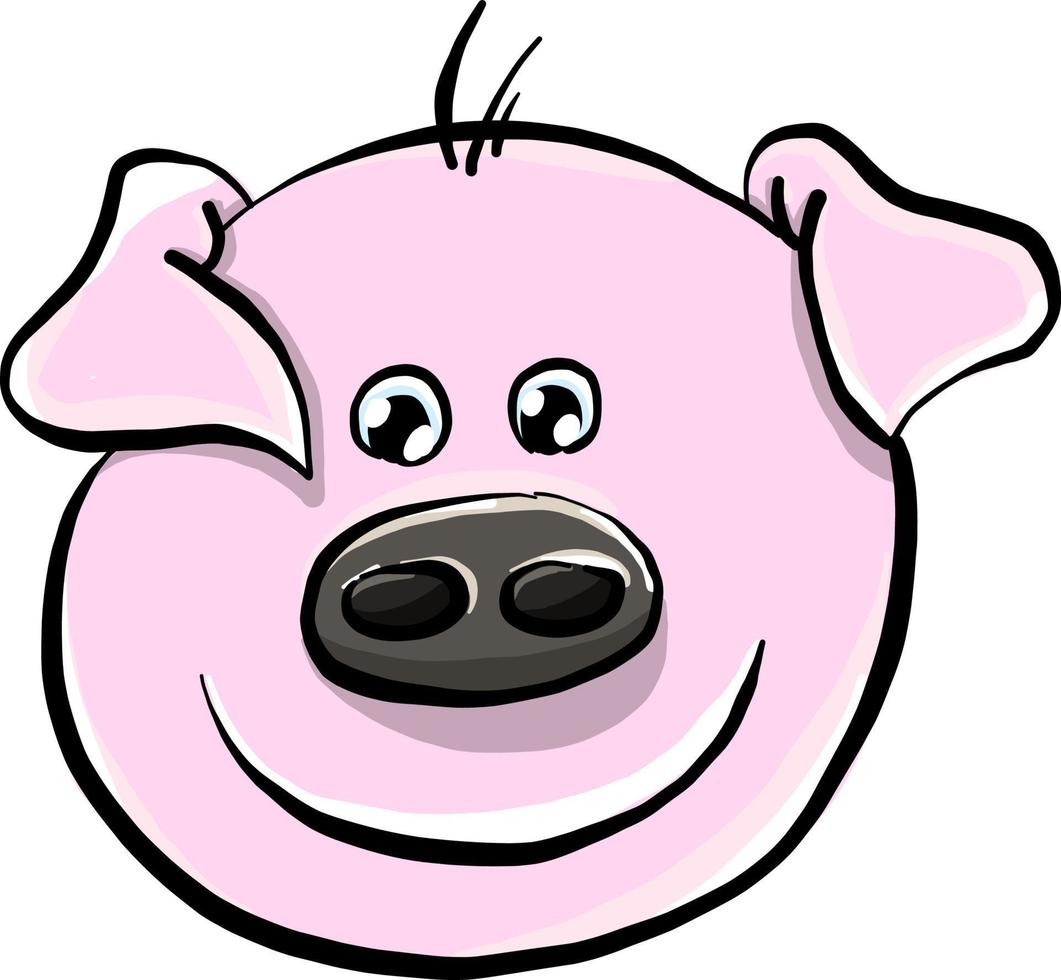 Pigs head, illustration, vector on white background.