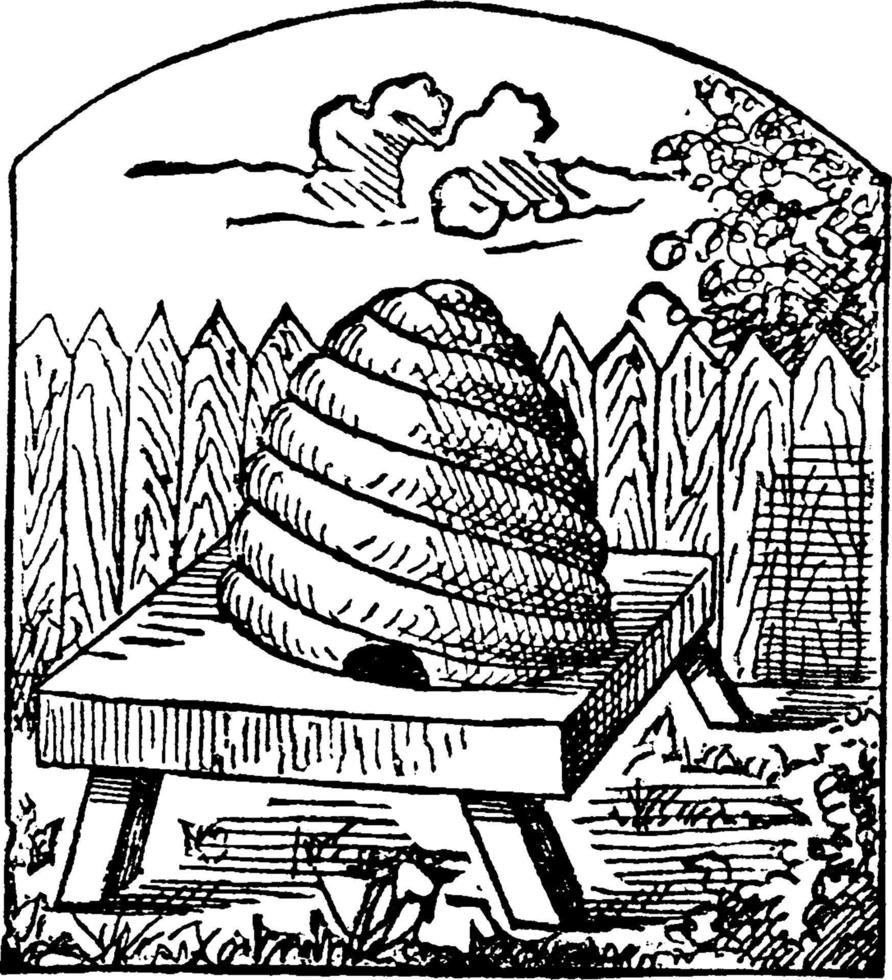 Hive, vintage illustration vector