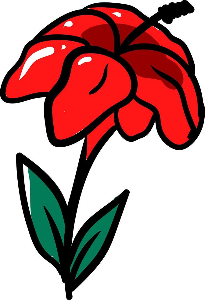 Hibiscus flower, illustration, vector on white background.