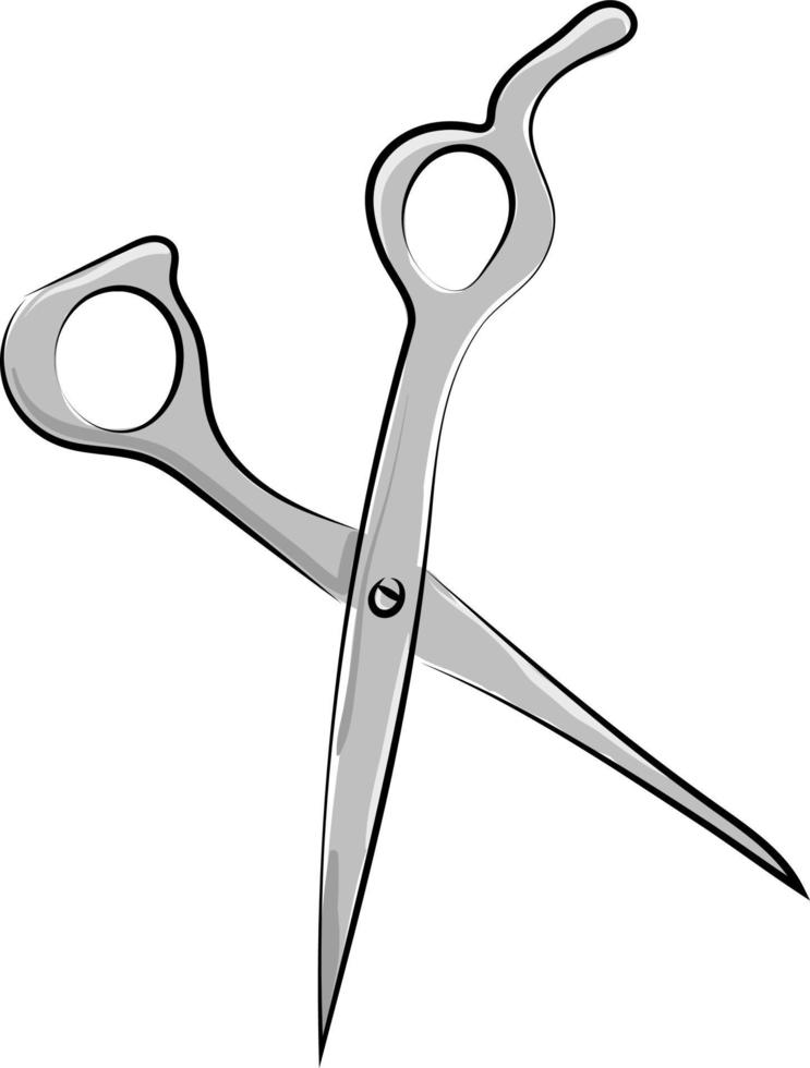 Scissors, illustration, vector on white background.