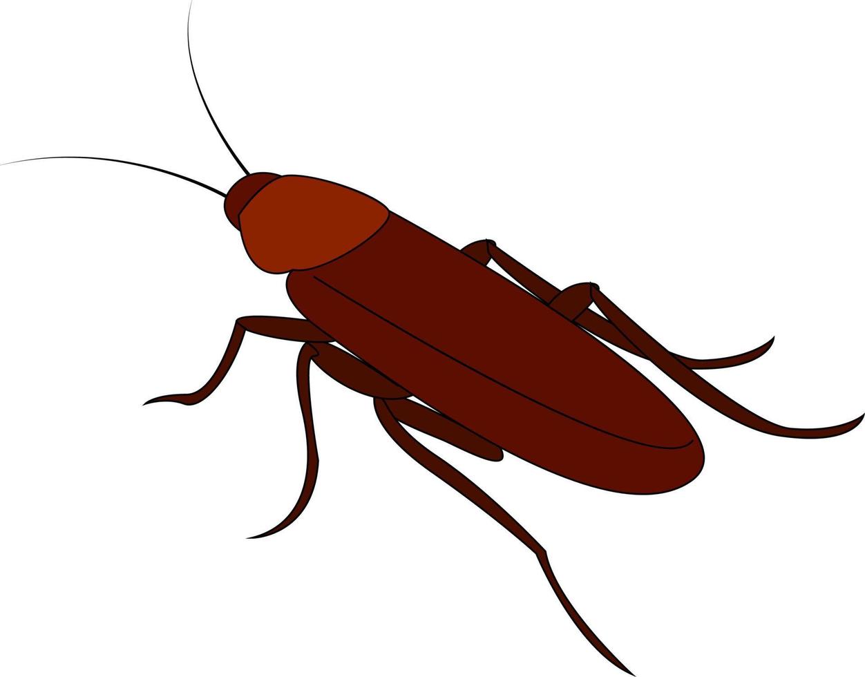 Cucaracha marrón, ilustración, vector sobre fondo blanco.
