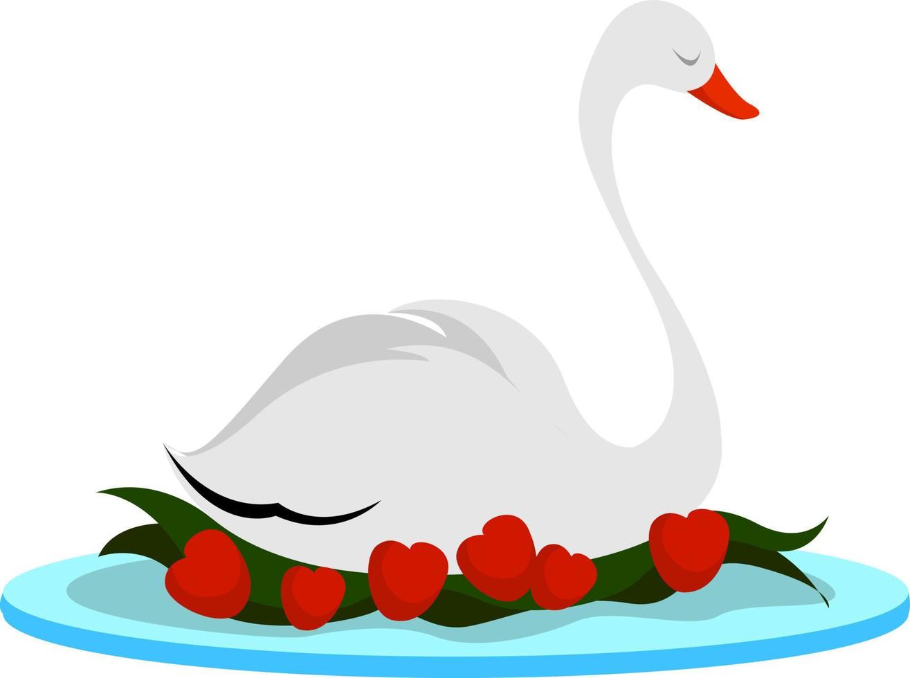 Cisne, ilustración, vector sobre fondo blanco.