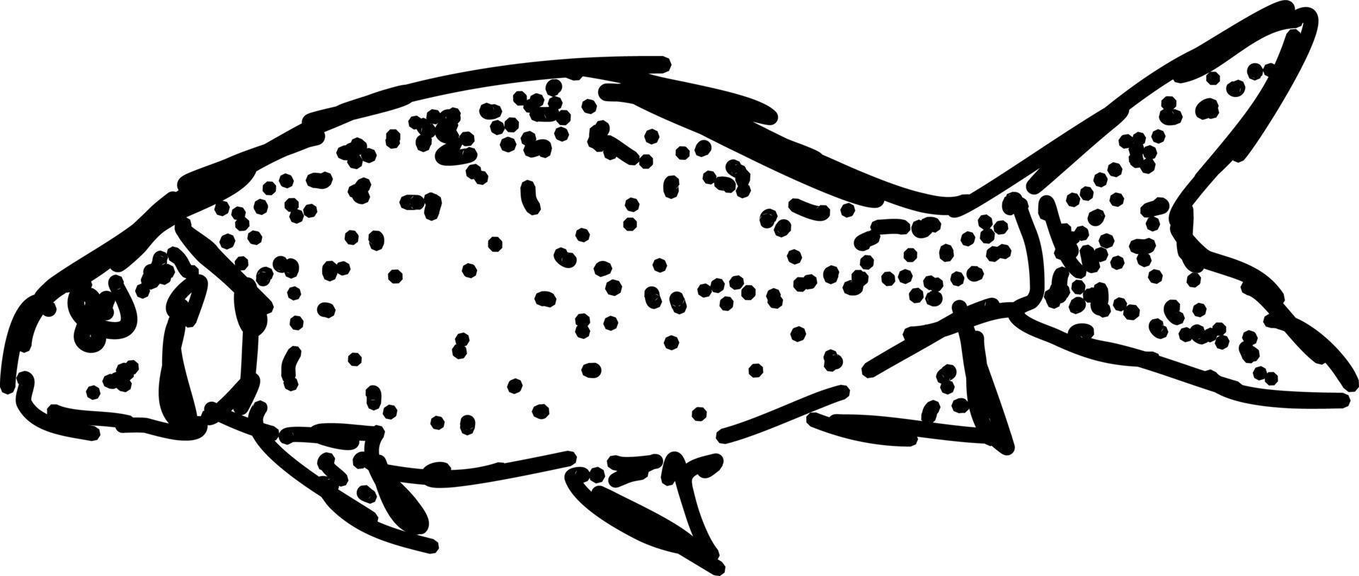 Fish drawing, illustration, vector on white background.