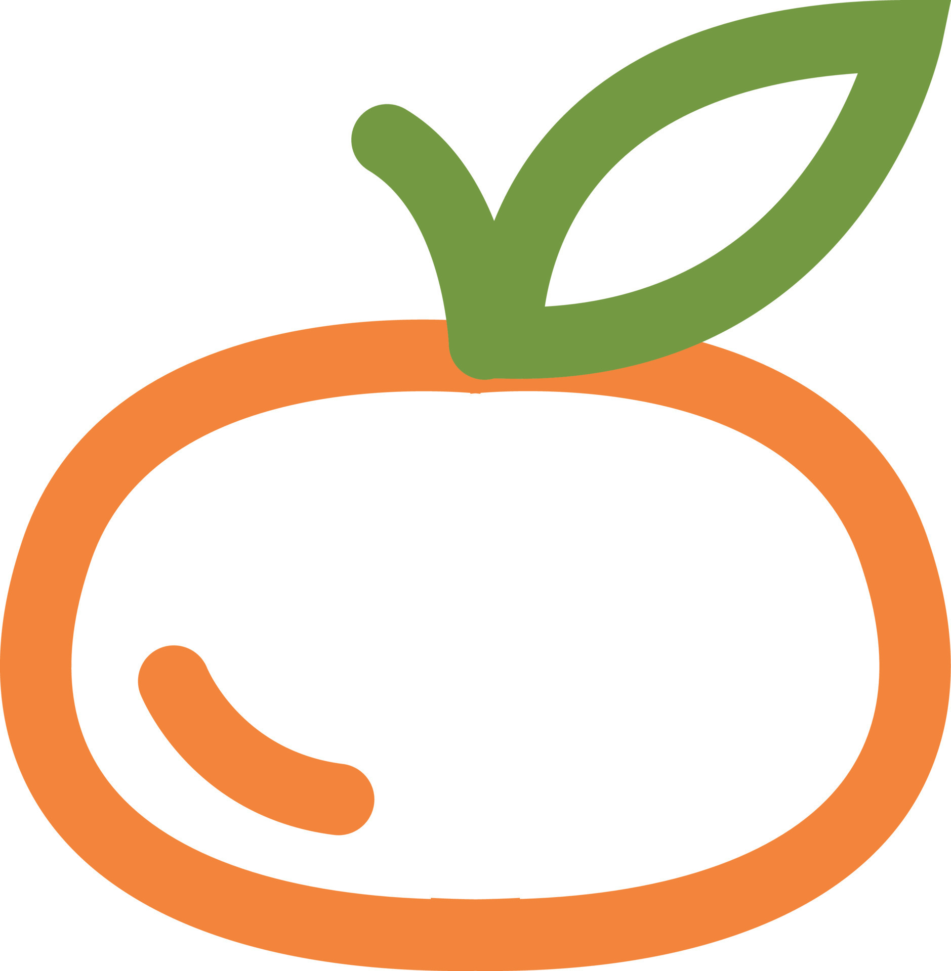 Orange mandarin, illustration, on a white background. 13779216 Vector