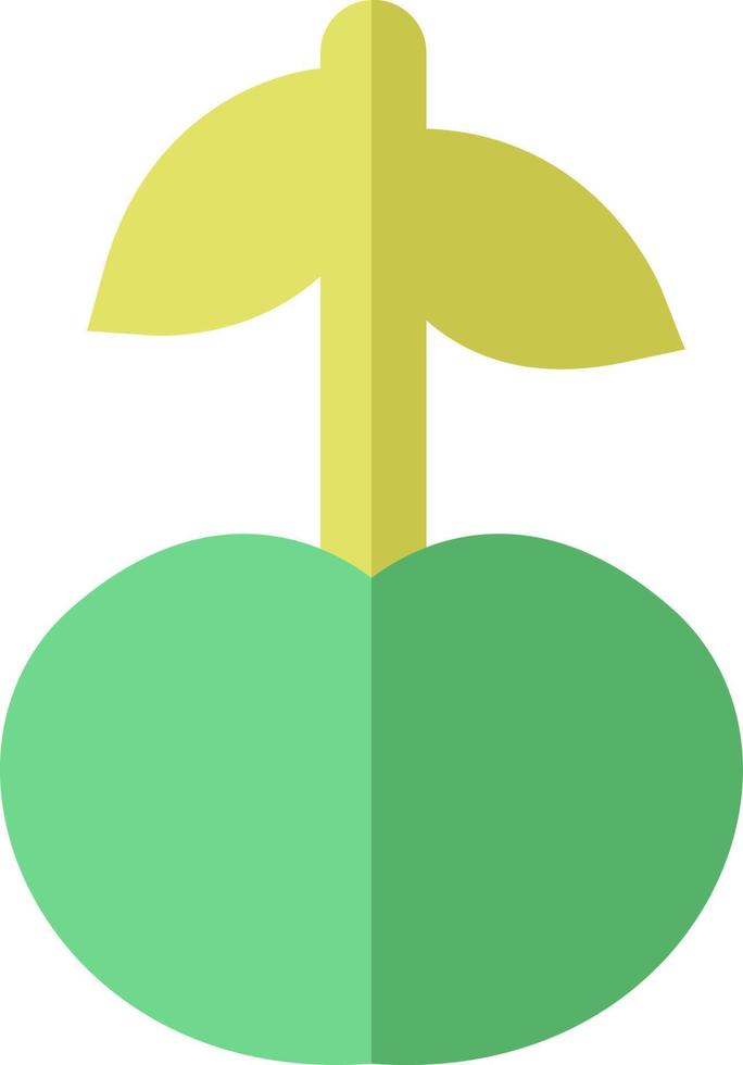 Green cherry, illustration, vector on a white background.