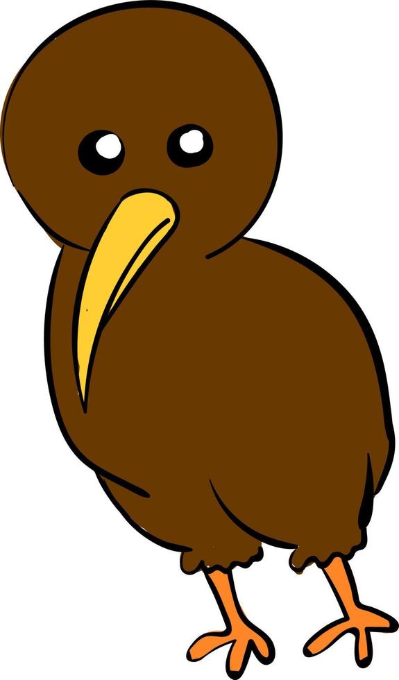 Cute brown kiwi, illustration, vector on white background.