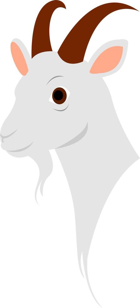 Goat, illustration, vector on white background.