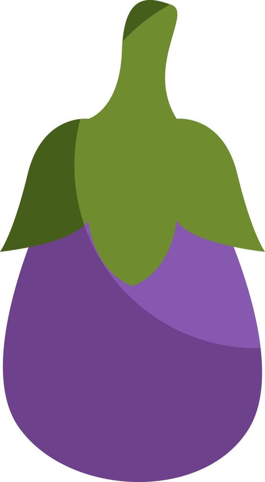 Purple eggplant, illustration, vector on a white background.