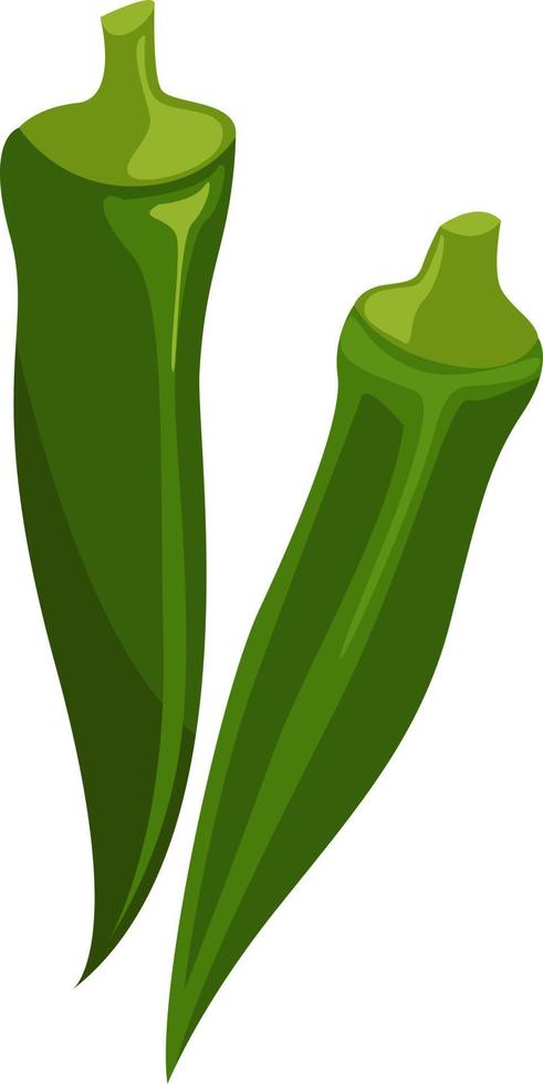 Green okra, illustration, vector on white background