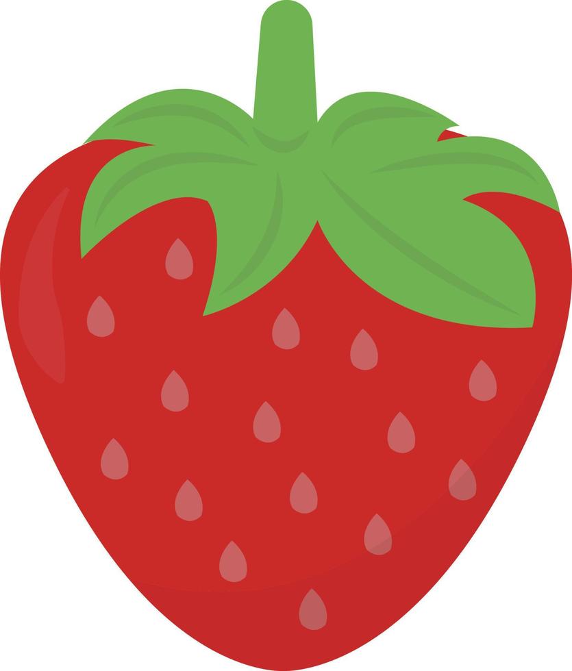 Fresh strawberry, illustration, vector on white background.
