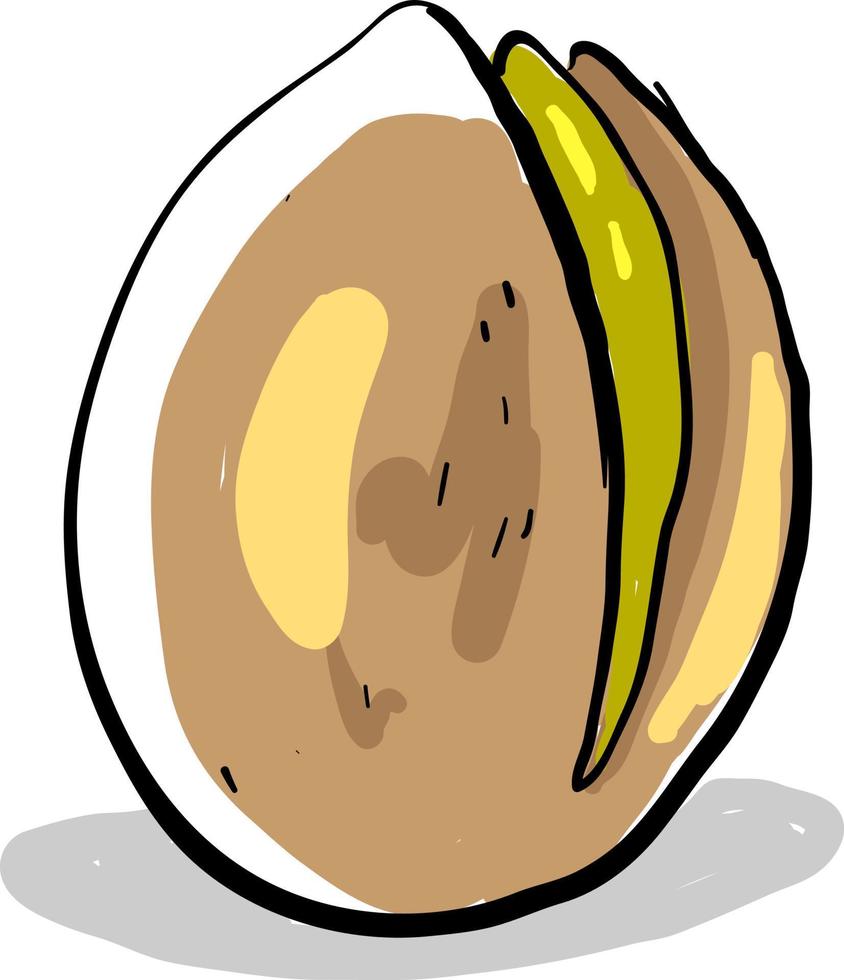 Flat pistachio, illustration, vector on white background.