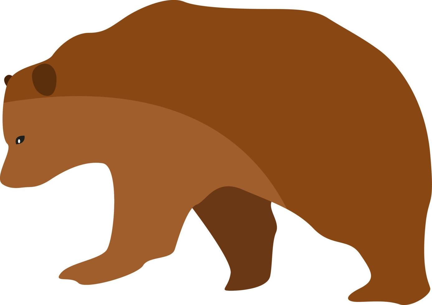 Brown bear, illustration, vector on white background.