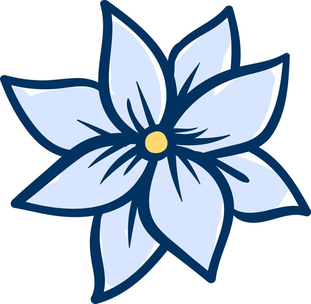 Jasmine flower, illustration, vector on white background.
