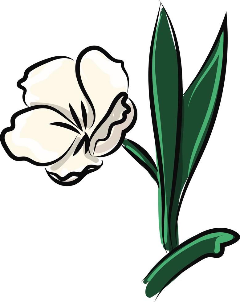flor blanca, ilustración, vector sobre fondo blanco.