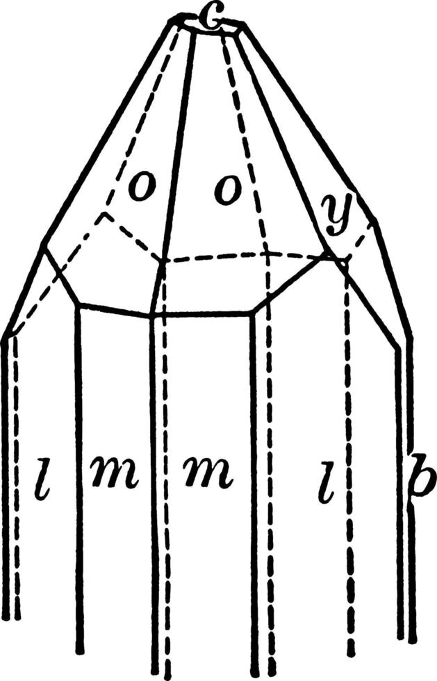 Topaz, vintage illustration. vector