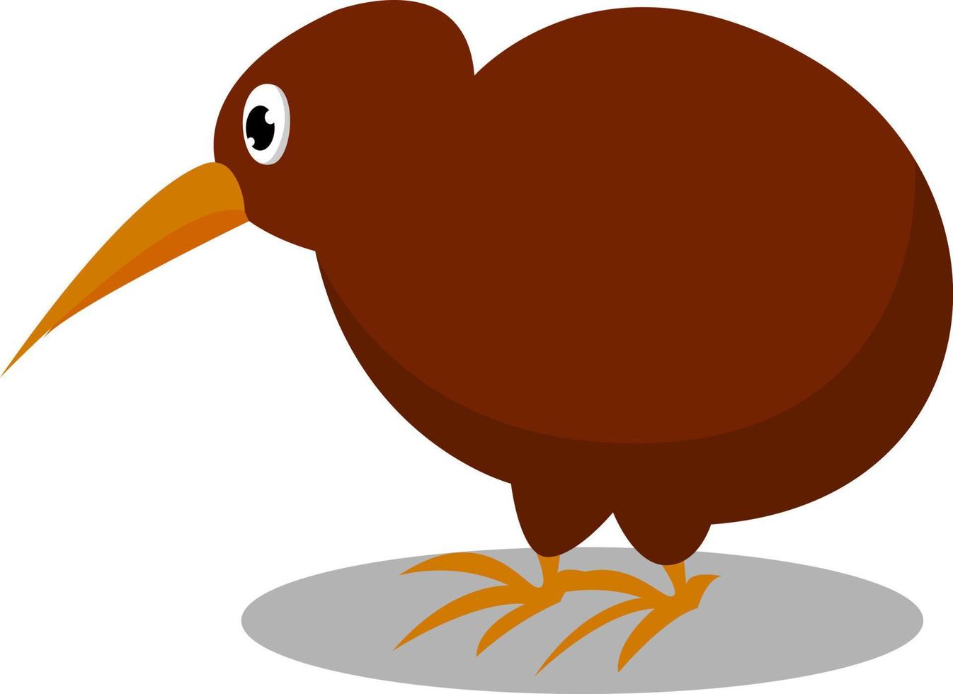 Bird kiwi, illustration, vector on white background.