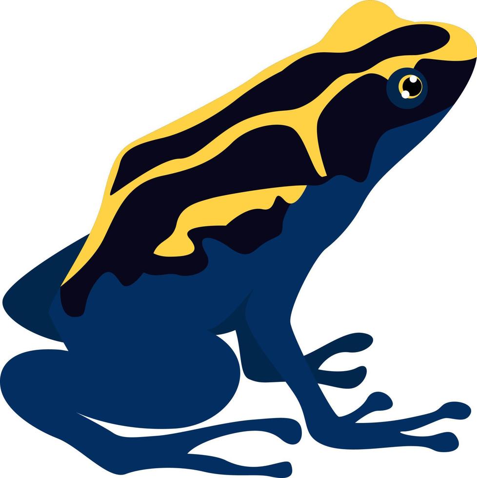 Poison frog, illustration, vector on white background