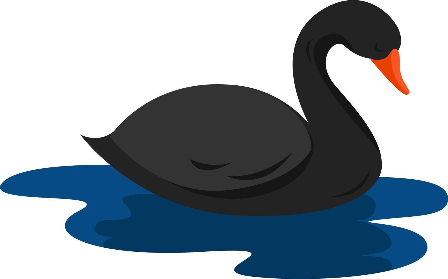 Black swan, illustration, vector on white background