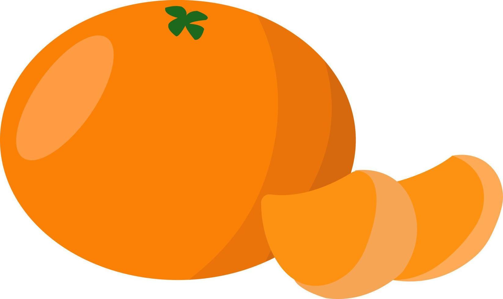 Clementine, illustration, vector on white background.