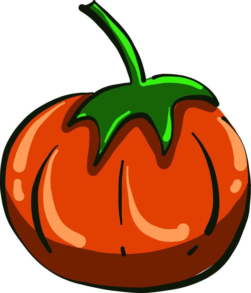 calabaza naranja , ilustración, vector sobre fondo blanco