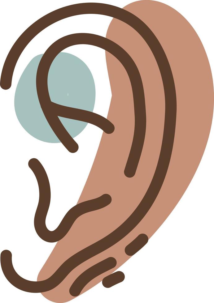 Human ear, illustration, vector, on a white background. vector