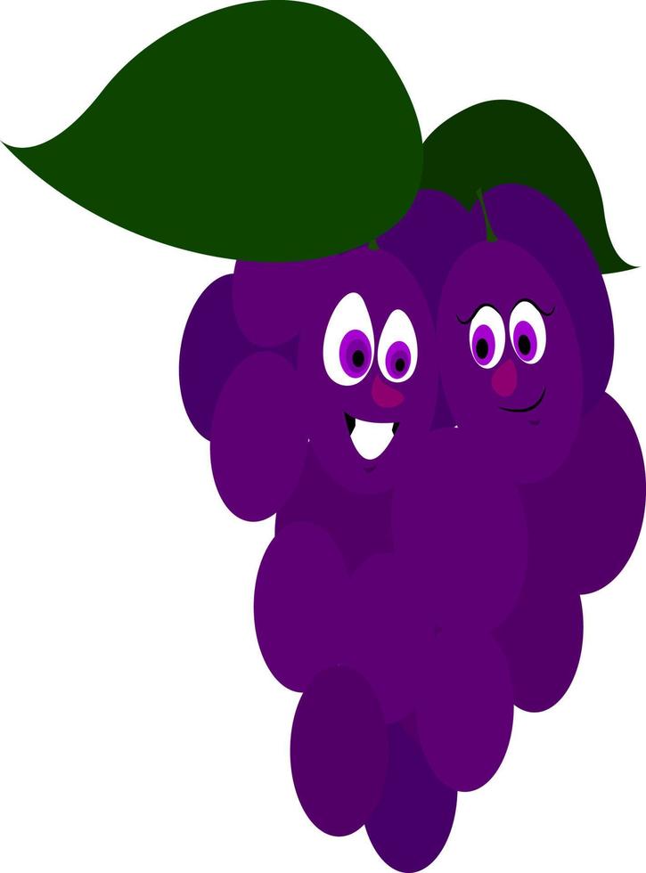 Grapes, illustration, vector on white background.