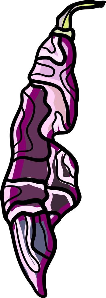 Pink pepper, illustration, vector on white background.