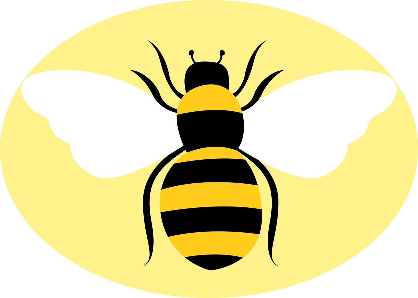 abeja salvaje, ilustración, vector sobre fondo blanco.