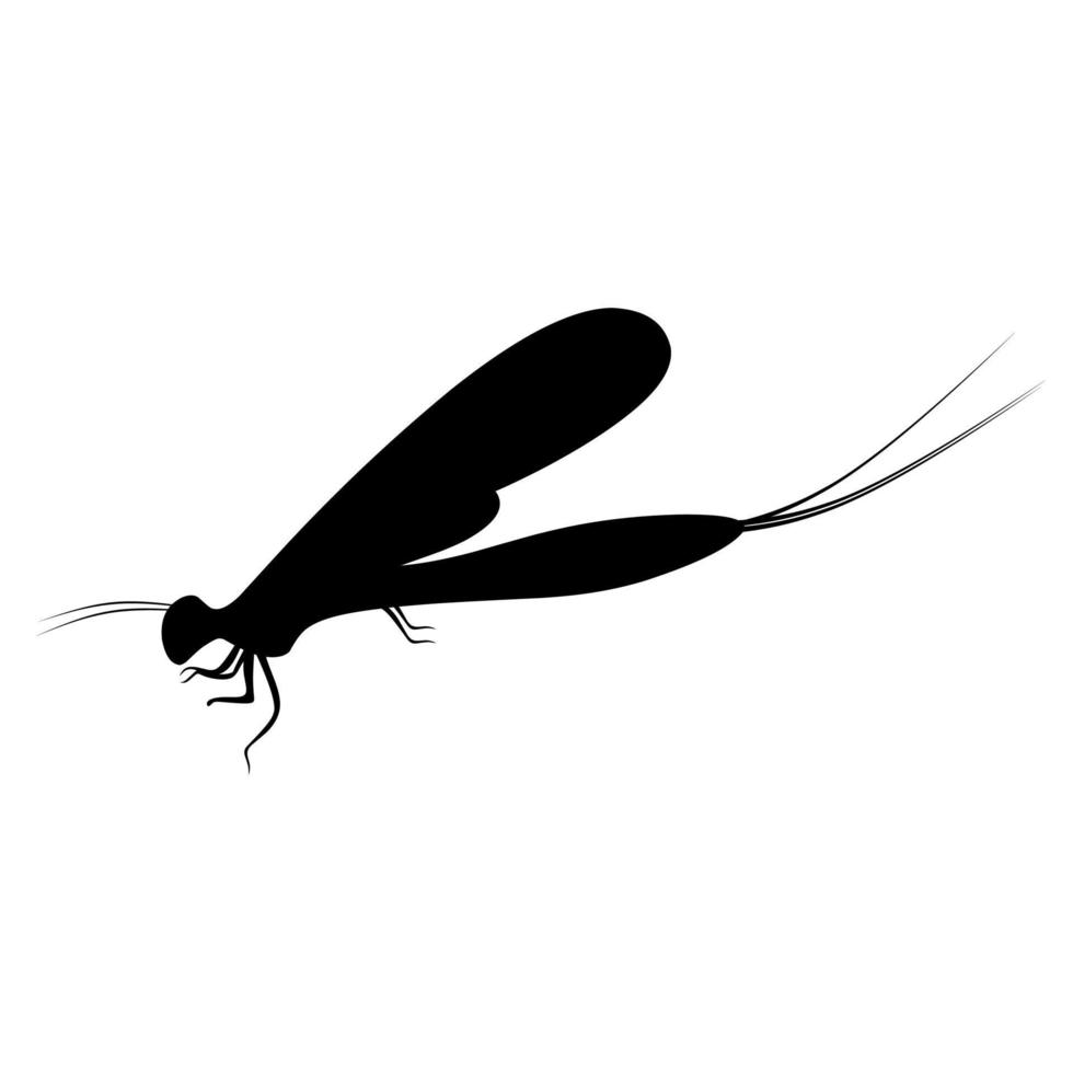 Silhouette of a mayfly or Ephemeroptera. These flies are often found on the surface of the water. Perfect for flying animal logos vector