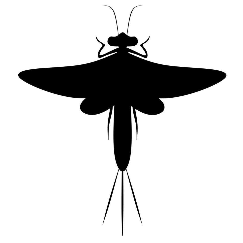 Vector illustration of a mayfly on a white background. Dragonflies are found on the surface of the water. Great for logos and posters.