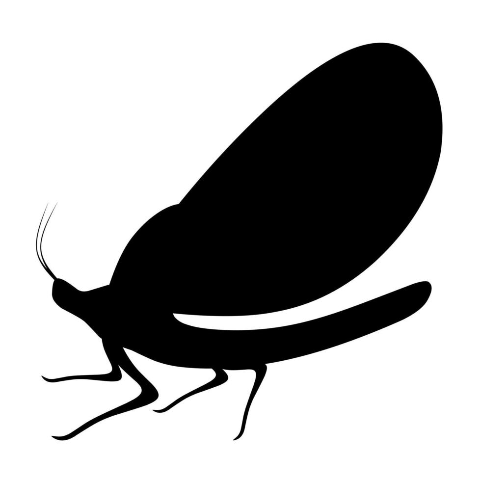 Vector silhouette of a mayfly on a white background. These flies are often found on the surface of water, ponds and leaves. Perfect for animal logos and posters.