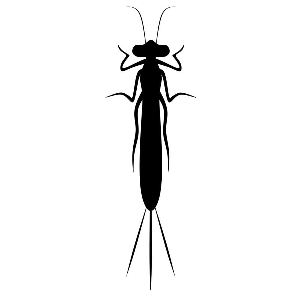 vector mosca de mayo sobre un fondo blanco. este animal se puede encontrar en la superficie del agua. perfecto para logos y carteles de animales. silueta