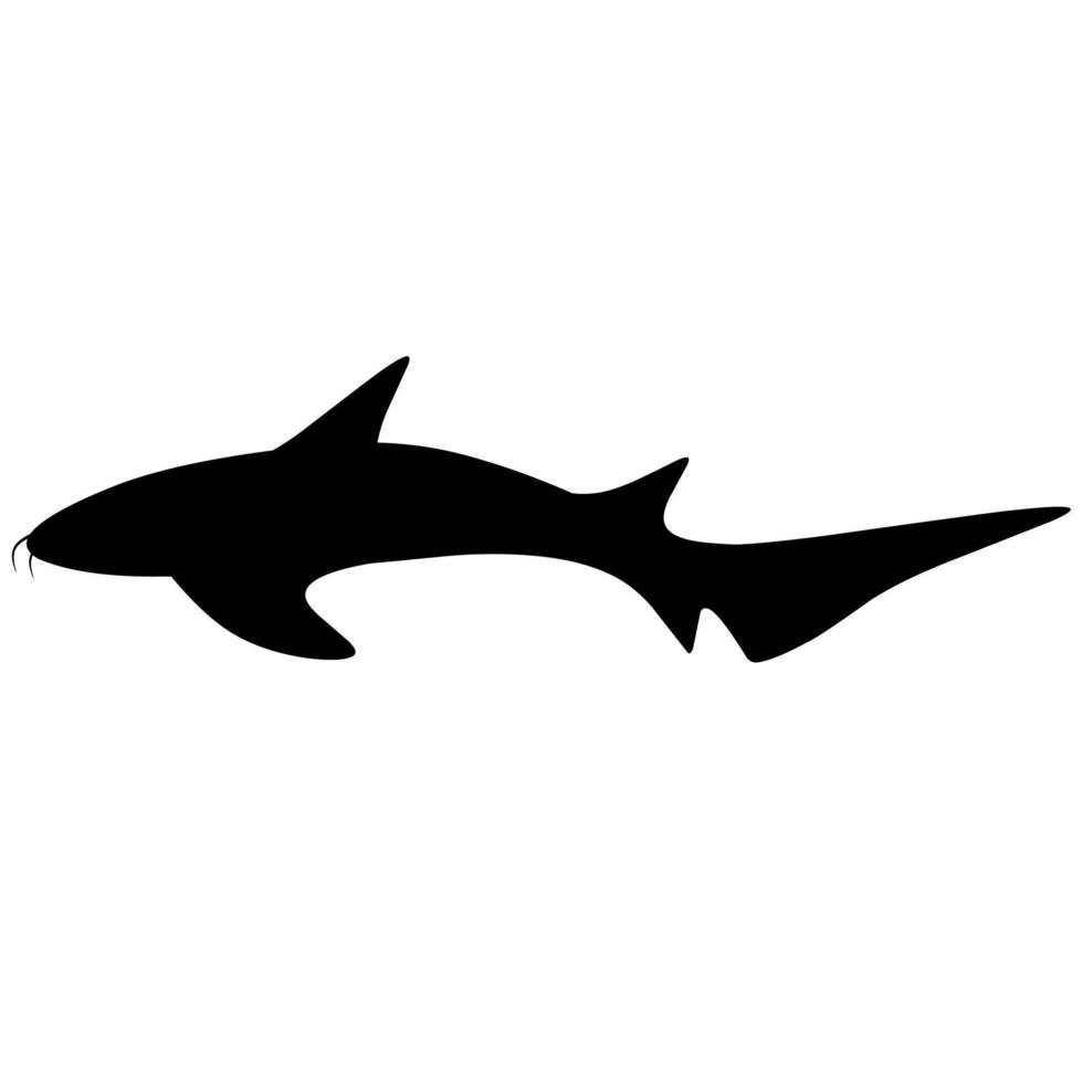 Vector illustration of a Nurse Shark on a white background. Silhouette of a black fish swimming in search of its prey.