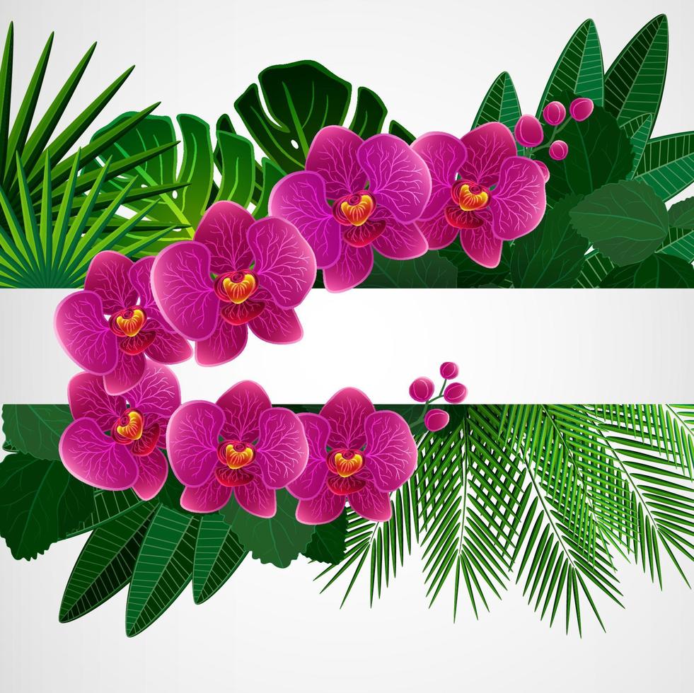 Floral design background. Orchid flowers. vector
