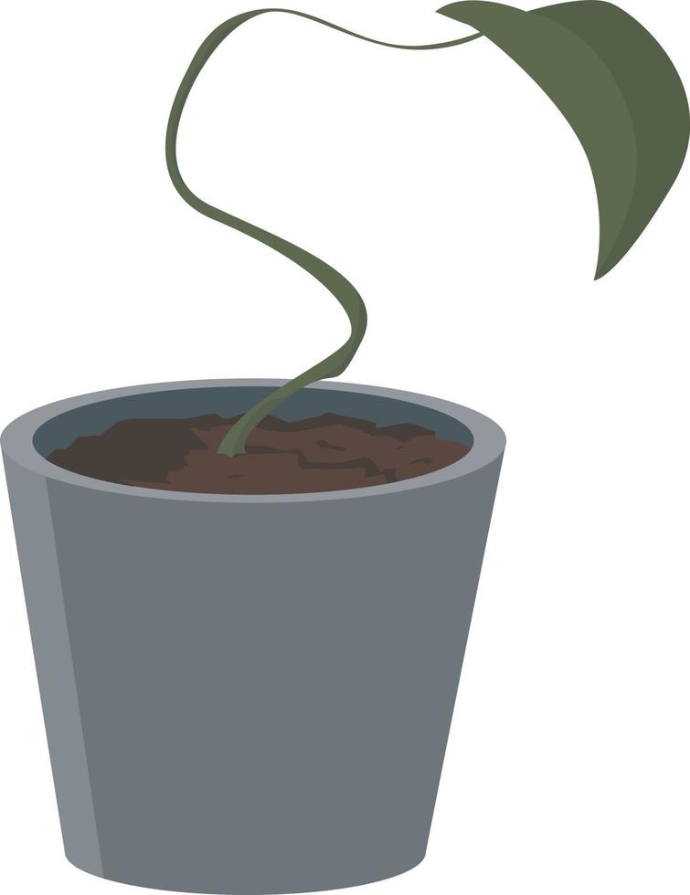 Plant in pot, illustration, vector on white background.