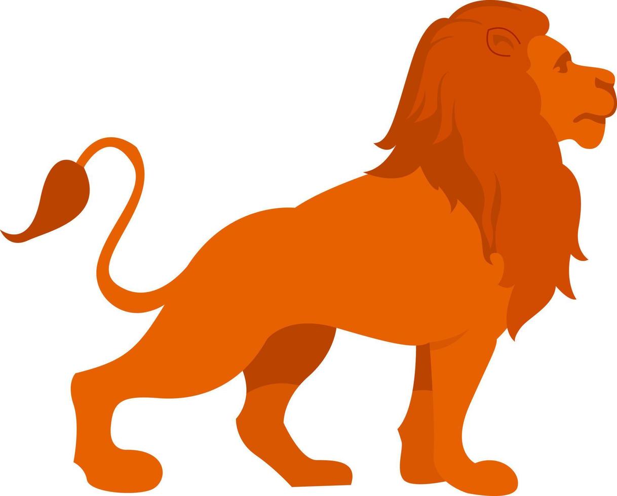 Big lion, illustration, vector on white background.